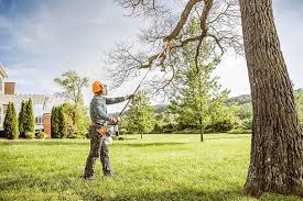 Best Pest Control for Lawns  in Lexington, KY