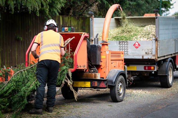 Best Firewood Processing and Delivery  in Lexington, KY