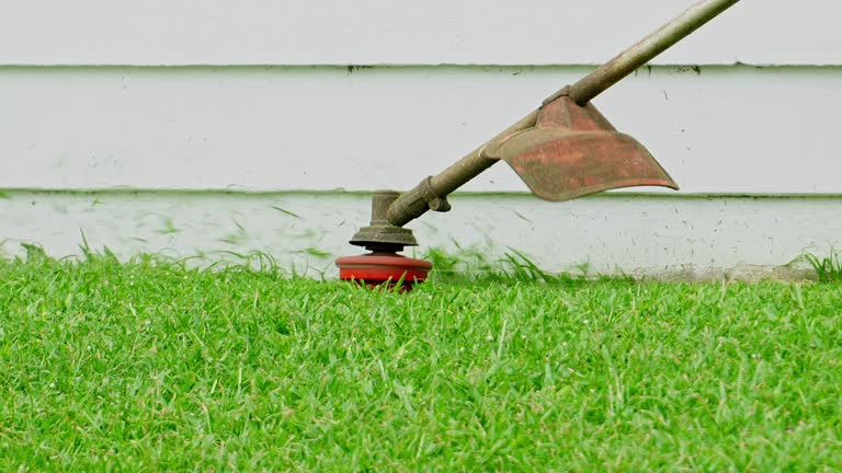 Best Lawn Irrigation Installation and Maintenance  in Lexington, KY