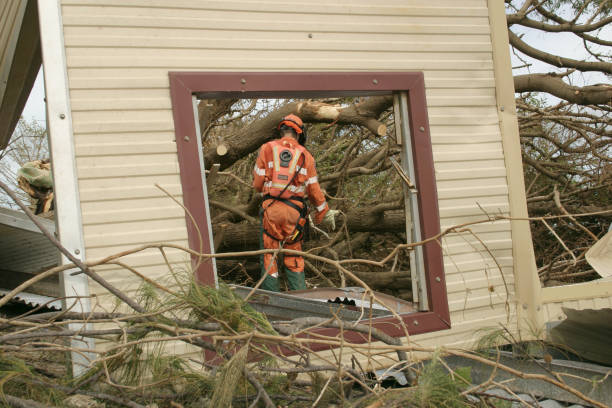 Best Commercial Tree Services  in Lexington, KY